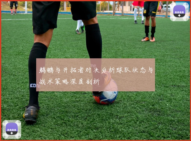 鹈鹕与开拓者对决分析球队状态与战术策略深度剖析