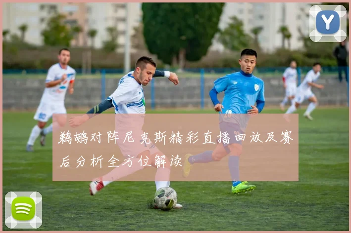 鹈鹕对阵尼克斯精彩直播回放及赛后分析全方位解读