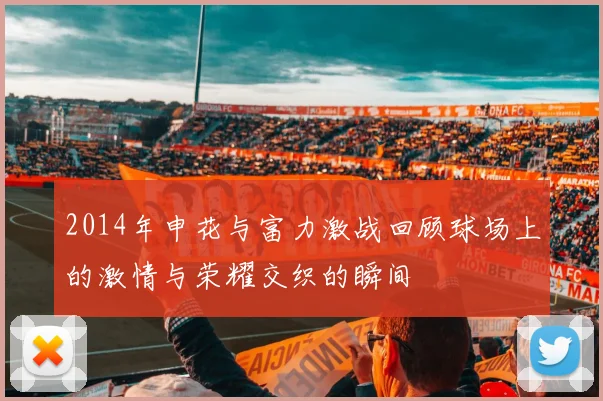 2014年申花与富力激战回顾球场上的激情与荣耀交织的瞬间