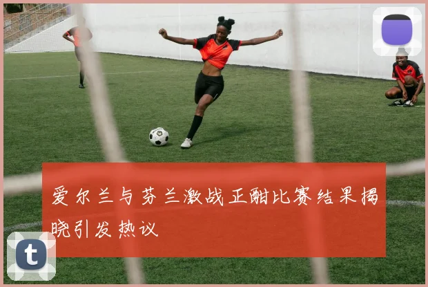 爱尔兰与芬兰激战正酣比赛结果揭晓引发热议
