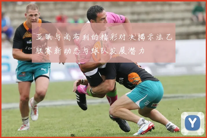 亚眠与尚布利的精彩对决揭示法乙联赛新动态与球队发展潜力