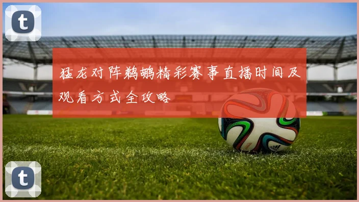 猛龙对阵鹈鹕精彩赛事直播时间及观看方式全攻略