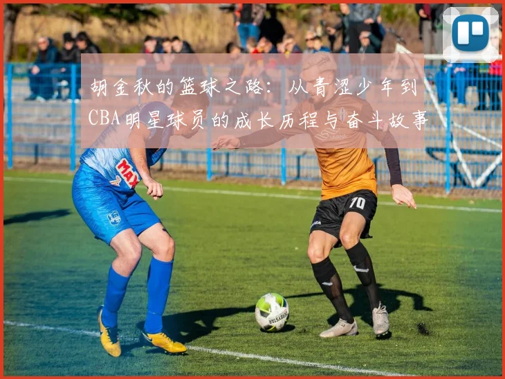 胡金秋的篮球之路：从青涩少年到CBA明星球员的成长历程与奋斗故事