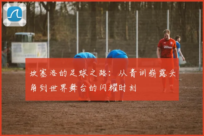坎塞洛的足球之路：从青训崭露头角到世界舞台的闪耀时刻